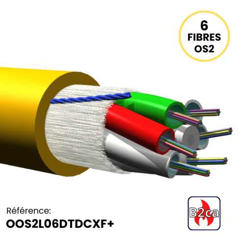 Câble Structure Libre 250µm multitube INT Armé fibre de verre gaine LSZH-XF DT Xtremfire DTDC XF+  B2ca