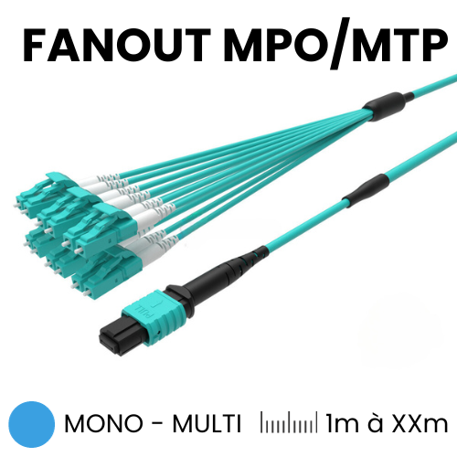 Trunk Fanout MPO/MTP