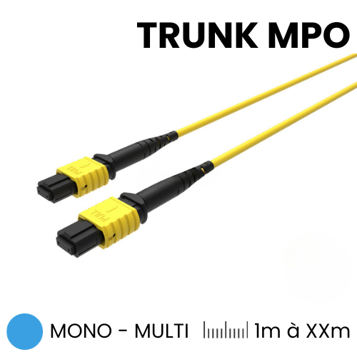 Trunks MPO Standard