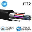 Câble Structure Libre 250µm Microgaine de 12FO EXT gaine PEHD FT12