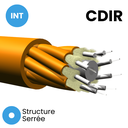Câble Breakout 2mm INT Armé kevlar gaine LSZH CDIR
