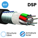 Câble Structure Libre 250µm multitube EXT Armé acier annelé gaine PEHD DSP