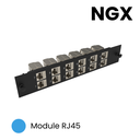 Module RJ45 NGX 12 ports Embase Keystone non équipé