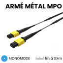 Trunk Armé métal MPO 12FO monomode
